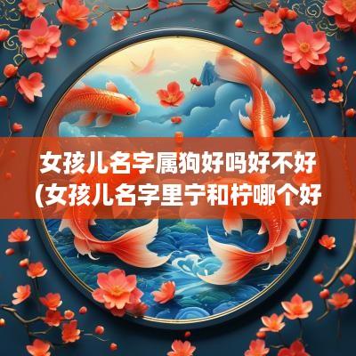 女孩儿名字属狗好吗好不好(女孩儿名字里宁和柠哪个好)