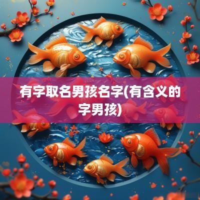 有字取名男孩名字(有含义的字男孩)