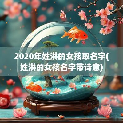 2025年姓洪的女孩取名字(姓洪的女孩名字带诗意)