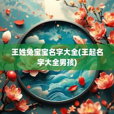 王姓兔宝宝名字大全(王起名字大全男孩)