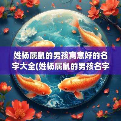 姓杨属鼠的男孩寓意好的名字大全(姓杨属鼠的男孩名字)