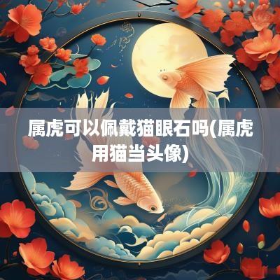 属虎可以佩戴猫眼石吗(属虎用猫当头像)