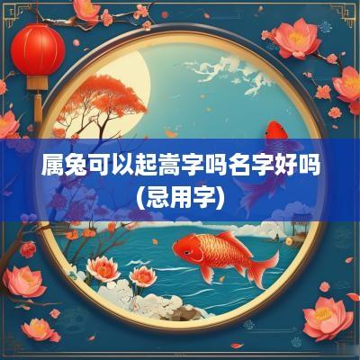 属兔可以起嵩字吗名字好吗(忌用字)