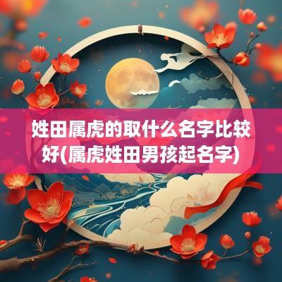 姓田属虎的取什么名字比较好(属虎姓田男孩起名字)