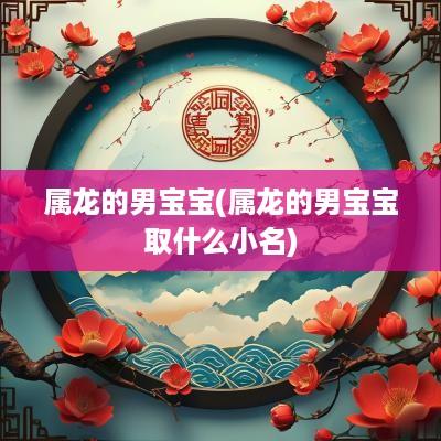 属龙的男宝宝(属龙的男宝宝取什么小名) 属龙的男宝宝(属龙的男宝宝取什么小名)