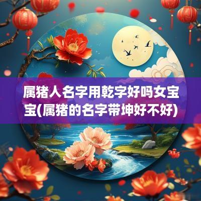 属猪人名字用乾字好吗女宝宝(属猪的名字带坤好不好)