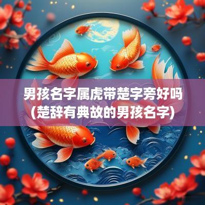 男孩名字属虎带楚字旁好吗(楚辞有典故的男孩名字)