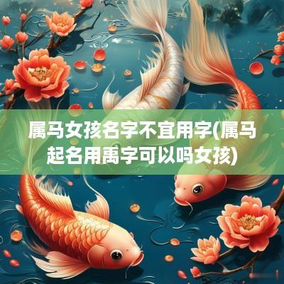 属马女孩名字不宜用字(属马起名用禹字可以吗女孩)
