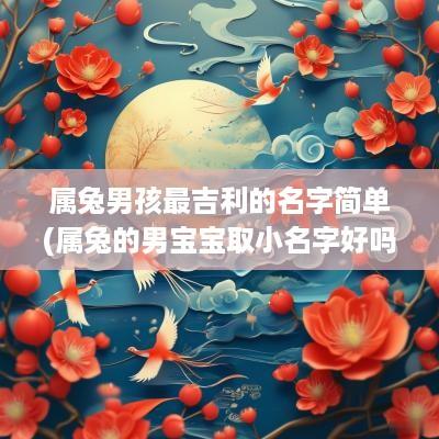 属兔男孩最吉利的名字简单(属兔的男宝宝取小名字好吗)