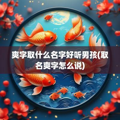 爽字取什么名字好听男孩(取名爽字怎么说)