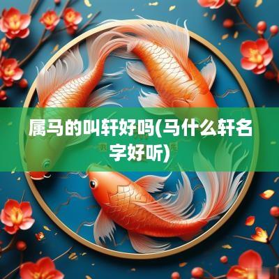 属马的叫轩好吗(马什么轩名字好听)