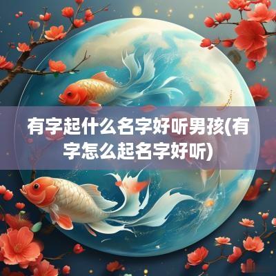 有字起什么名字好听男孩(有字怎么起名字好听)