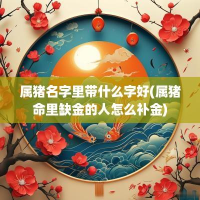 属猪名字里带什么字好(属猪命里缺金的人怎么补金)