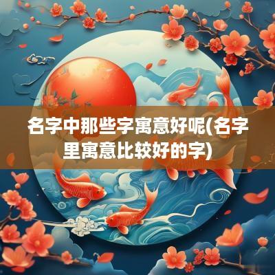 名字中那些字寓意好呢(名字里寓意比较好的字)