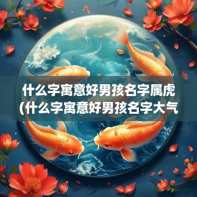 什么字寓意好男孩名字属虎(什么字寓意好男孩名字大气)