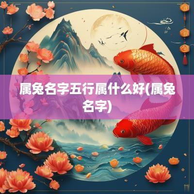 属兔名字五行属什么好(属兔名字)