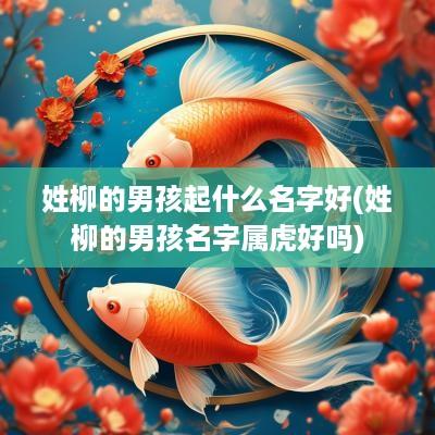 姓柳的男孩起什么名字好(姓柳的男孩名字属虎好吗)