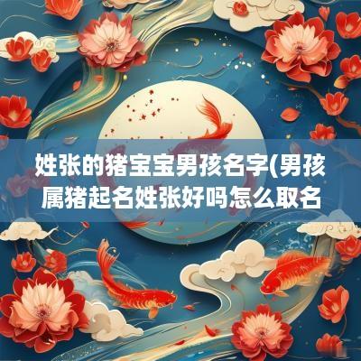 姓张的猪宝宝男孩名字(男孩属猪起名姓张好吗怎么取名)