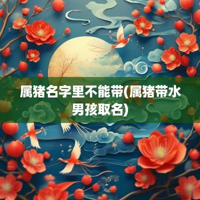 属猪名字里不能带(属猪带水男孩取名)