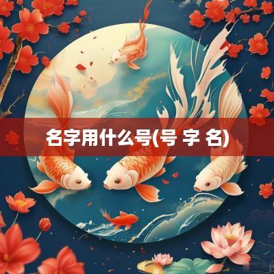 名字用什么号(号 字 名)