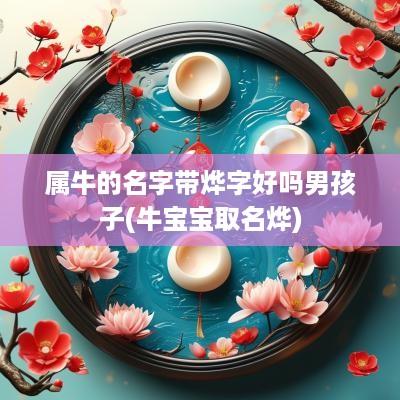 属牛的名字带烨字好吗男孩子(牛宝宝取名烨)