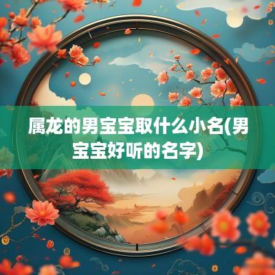 属龙的男宝宝取什么小名(男宝宝好听的名字)