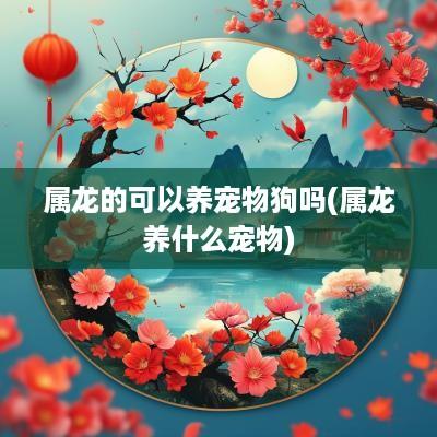 属龙的可以养宠物狗吗(属龙养什么宠物)