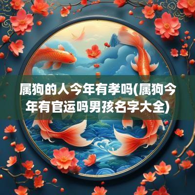 属狗的人今年有孝吗(属狗今年有官运吗男孩名字大全)