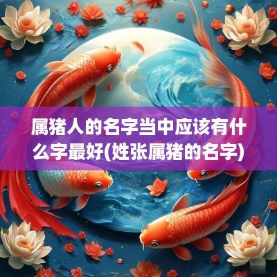 属猪人的名字当中应该有什么字最好(姓张属猪的名字)