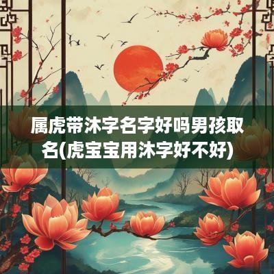 属虎带沐字名字好吗男孩取名(虎宝宝用沐字好不好)