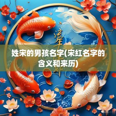 姓宋的男孩名字(宋红名字的含义和来历)