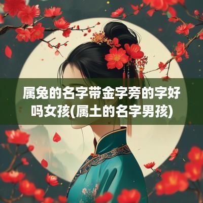 属兔的名字带金字旁的字好吗女孩(属土的名字男孩)