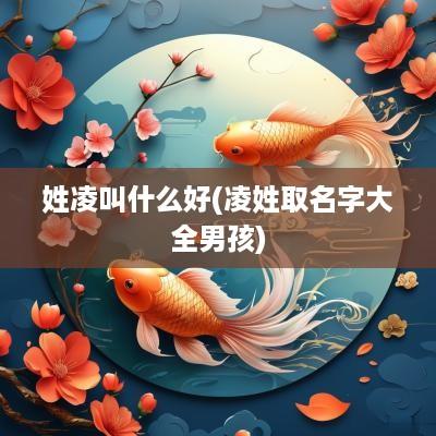 姓凌叫什么好(凌姓取名字大全男孩)
