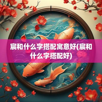 宸和什么字搭配寓意好(宸和什么字搭配好)
