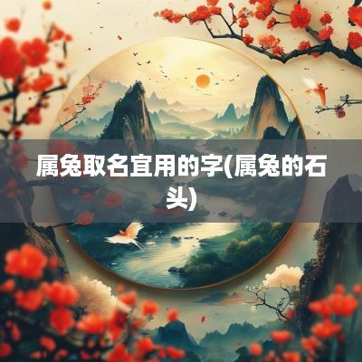 属兔取名宜用的字(属兔的石头)