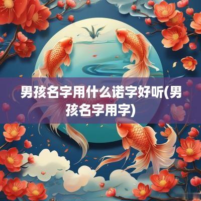 男孩名字用什么诺字好听(男孩名字用字)