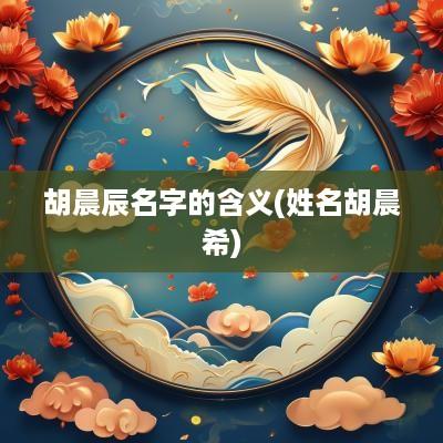 胡晨辰名字的含义(姓名胡晨希)