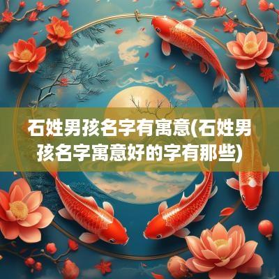 石姓男孩名字有寓意(石姓男孩名字寓意好的字有那些)