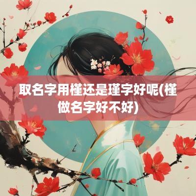 取名字用槿还是瑾字好呢(槿做名字好不好)