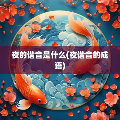 夜的谐音是什么(夜谐音的成语)
