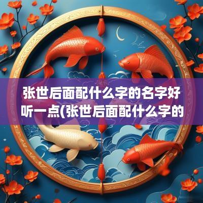 张世后面配什么字的名字好听一点(张世后面配什么字的名字好男孩)
