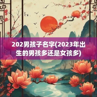 202男孩子名字(2025年出生的男孩多还是女孩多)