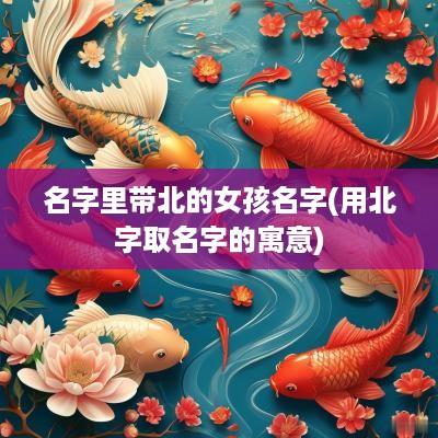 名字里带北的女孩名字(用北字取名字的寓意)