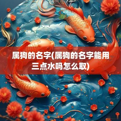 属狗的名字(属狗的名字能用三点水吗怎么取)