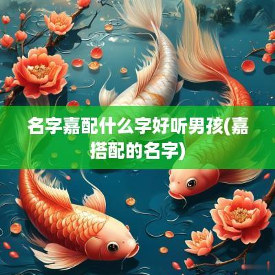 名字嘉配什么字好听男孩(嘉搭配的名字)