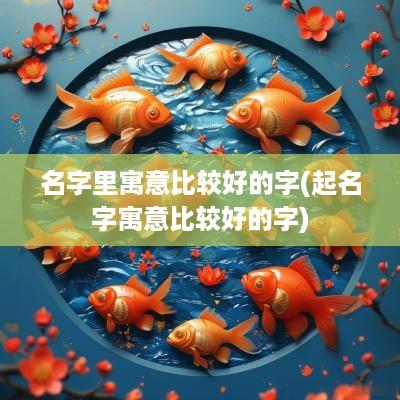 名字里寓意比较好的字(起名字寓意比较好的字)