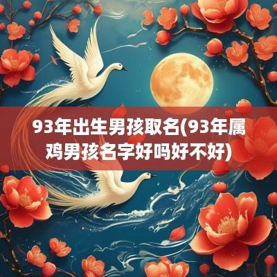93年出生男孩取名(93年属鸡男孩名字好吗好不好)