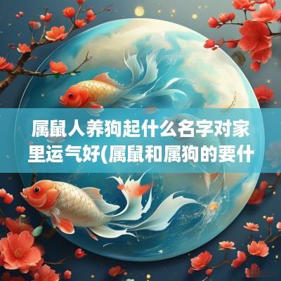 属鼠人养狗起什么名字对家里运气好(属鼠和属狗的要什么属性的孩子好)