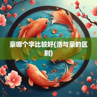 豪哪个字比较好(浩与豪的区别)