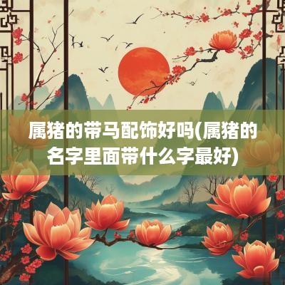 属猪的带马配饰好吗(属猪的名字里面带什么字最好)